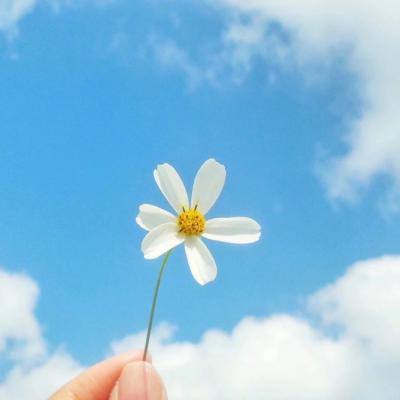 亚博网APP最新版本手机版